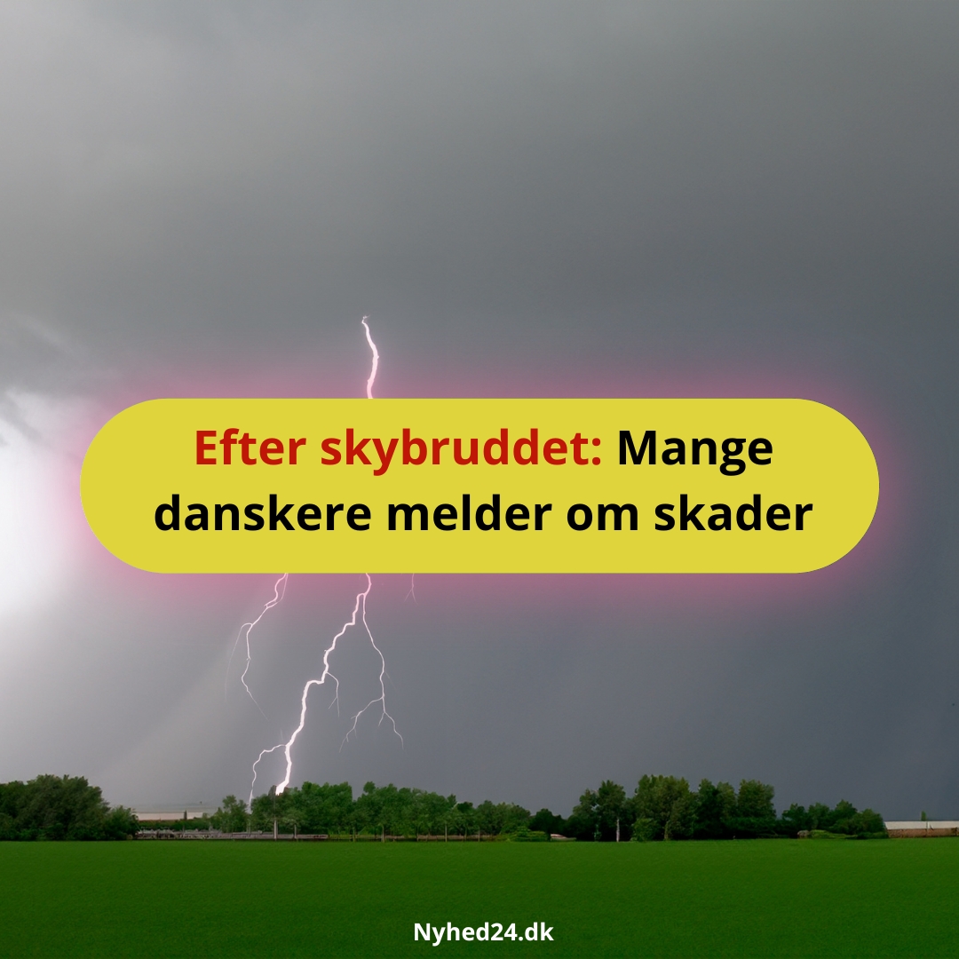 yn og skybrud har kostet dyrt for boligejere