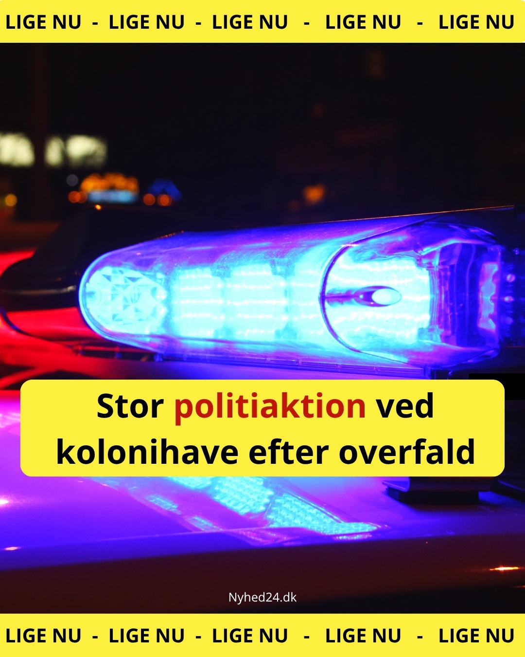 Stor politiaktion ved kolonihave efter overfald