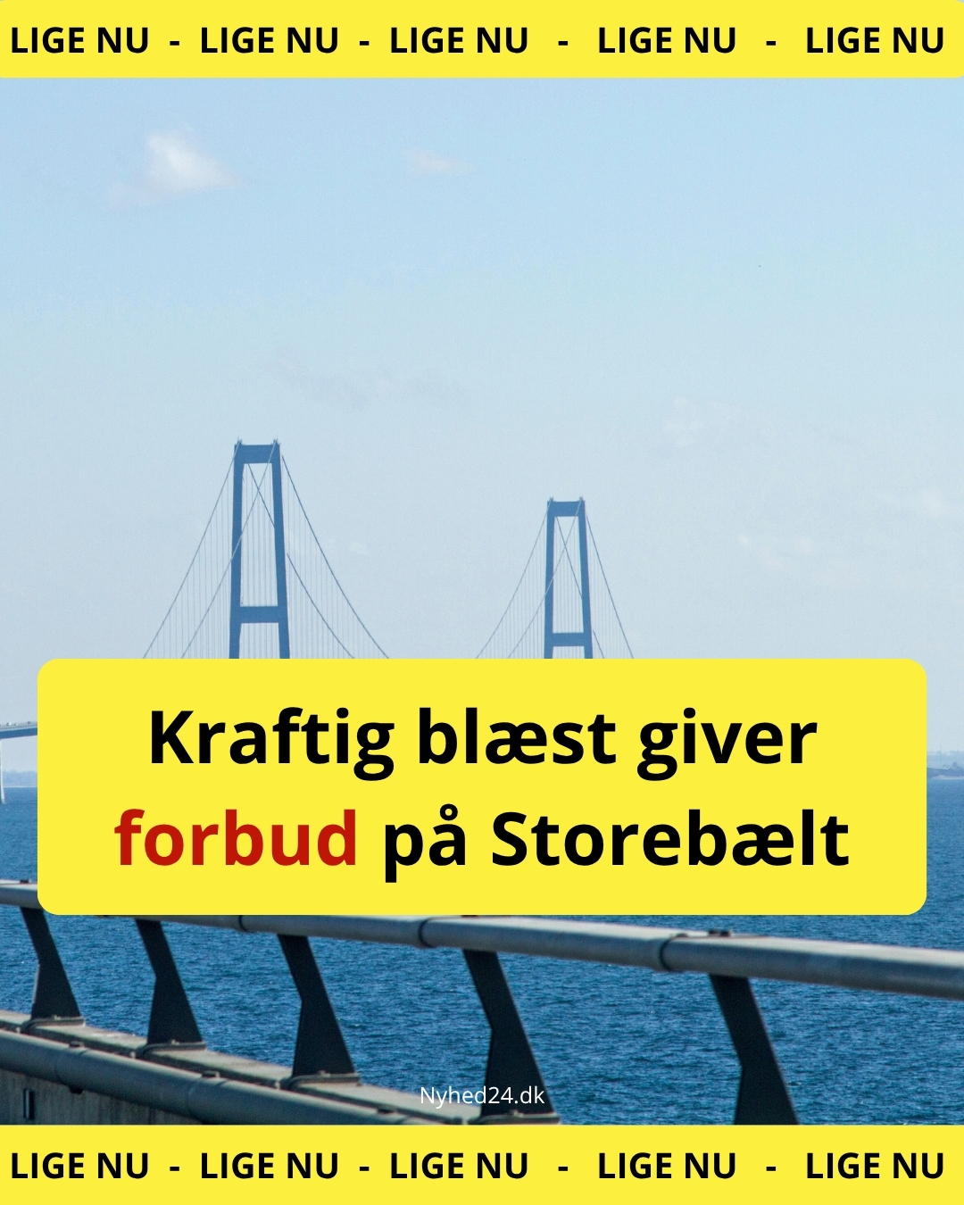 Kraftig blæst giver forbud på Storebælt