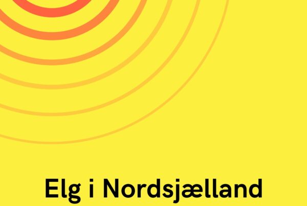 Elg i Nordsjælland spottet i indkørsel