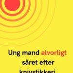 Ung mand alvorligt såret efter knivstikkeri