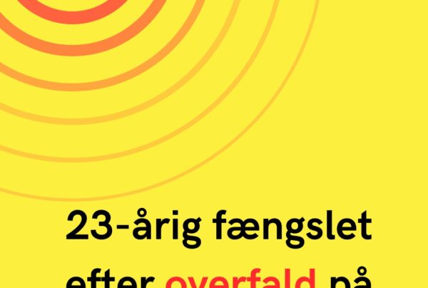23-årig fængslet efter overfald på hundelufter