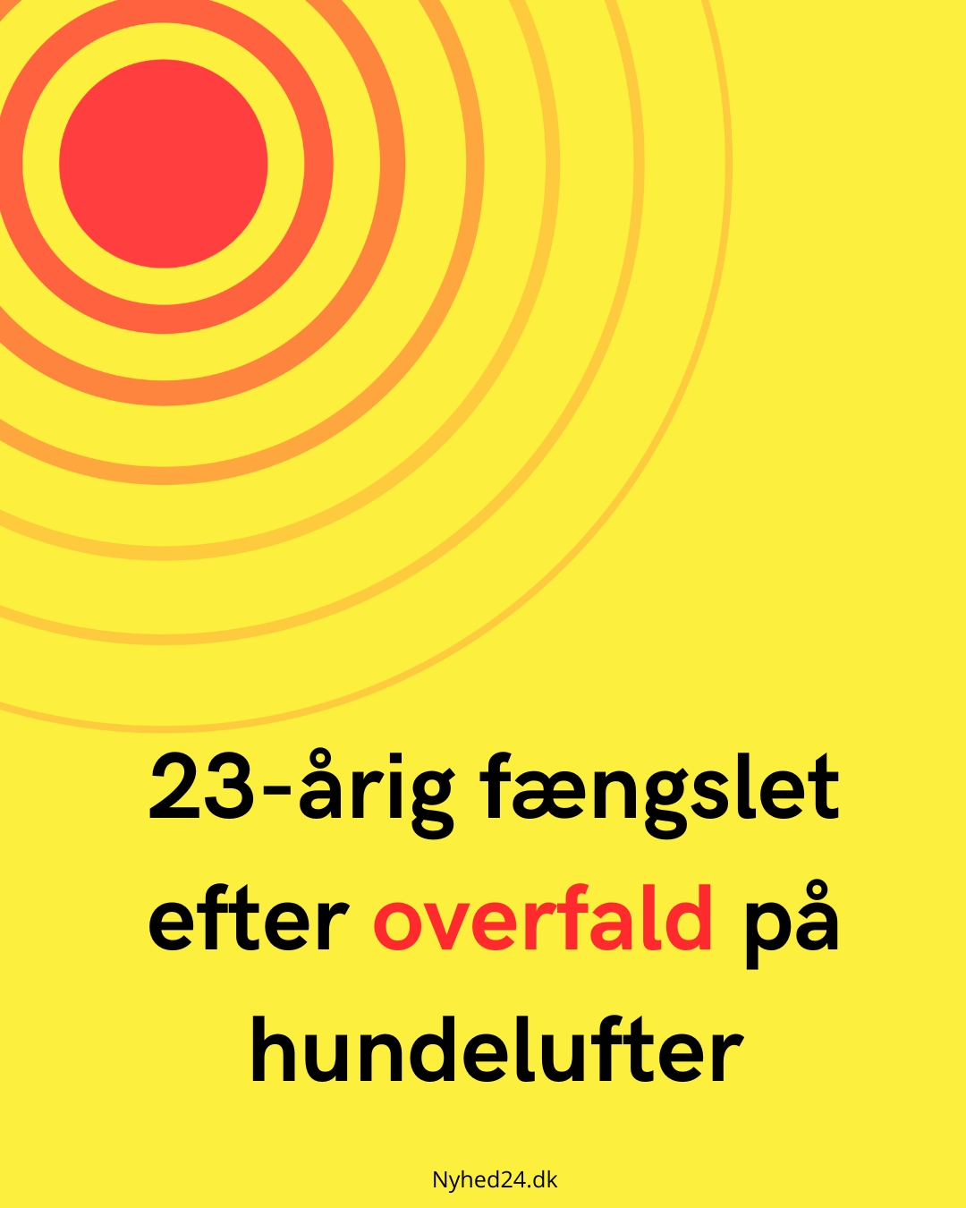 23-årig fængslet efter overfald på hundelufter
