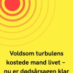 Voldsom turbulens kostede mand livet – nu er dødsårsagen klar