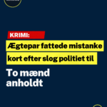 To mænd anholdt