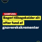 Bageri tilbagekalder alt efter fund af gnaverekskrementer