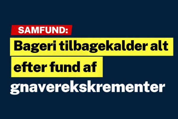 Bageri tilbagekalder alt efter fund af gnaverekskrementer