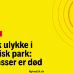 Tragisk ulykke i zoologisk park: Dyrepasser er død