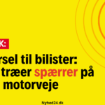 Advarsel til bilister: Væltede træer spærrer på to motorveje