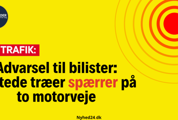 Advarsel til bilister: Væltede træer spærrer på to motorveje