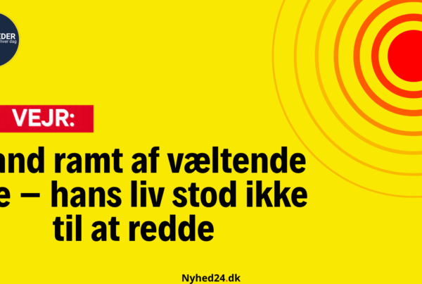 Mand ramt af væltende træ – hans liv stod ikke til at redde