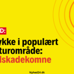 Busulykke i populært naturområde: 83 tilskadekomne