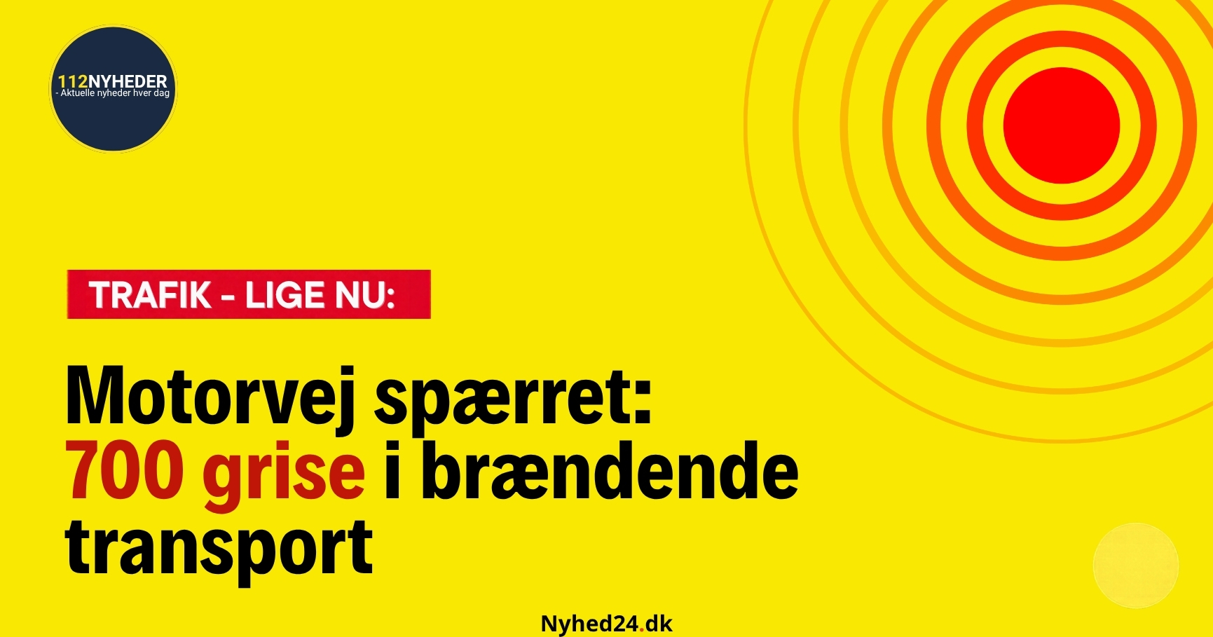 Motorvej spærret: 700 grise i brændende transport