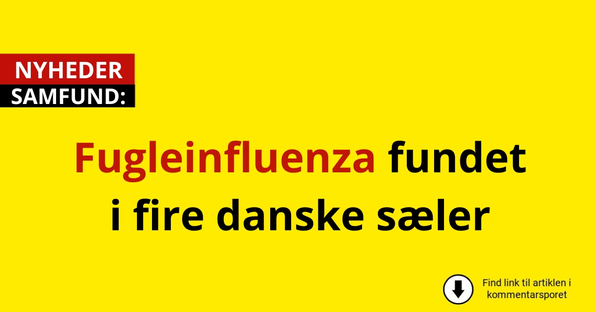 Fugleinfluenza fundet i fire danske sæler