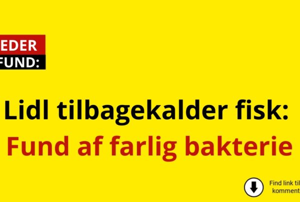 Lidl tilbagekalder fisk: Fund af farlig bakterie