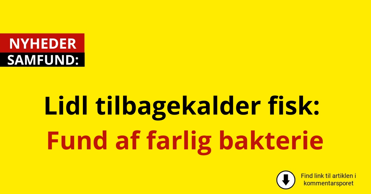 Lidl tilbagekalder fisk: Fund af farlig bakterie