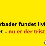 Vinterbader fundet livløs i vandet – nu er der trist nyt