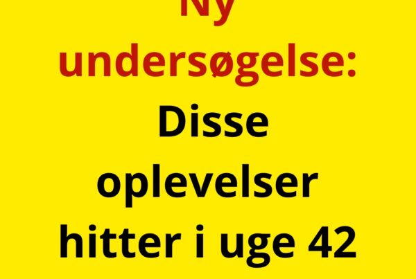 Ny undersøgelse: Disse oplevelser hitter i uge 42