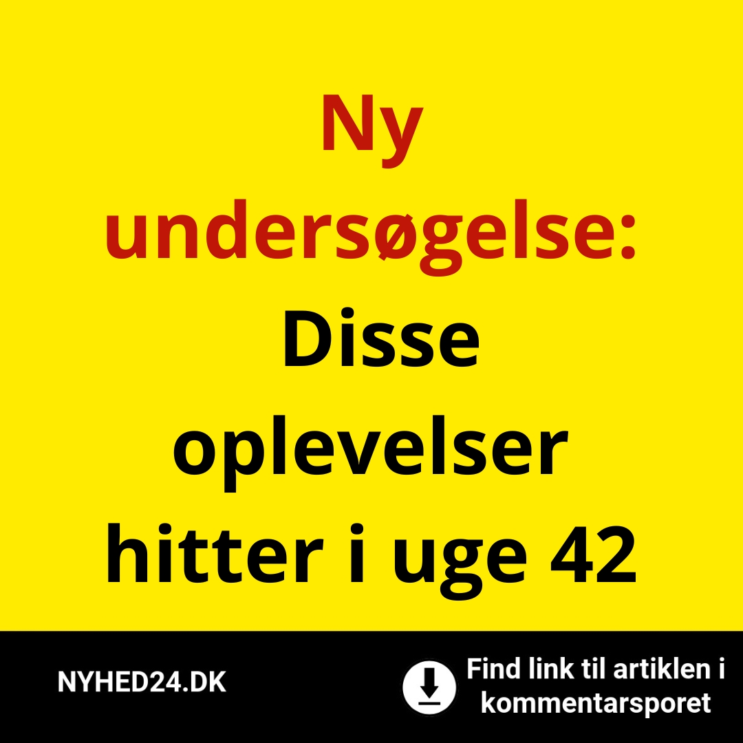 Ny undersøgelse: Disse oplevelser hitter i uge 42