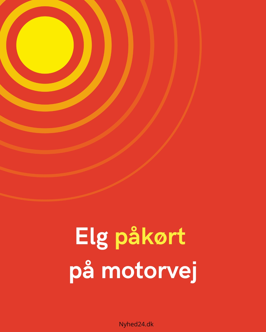 Elg påkørt på motorvej