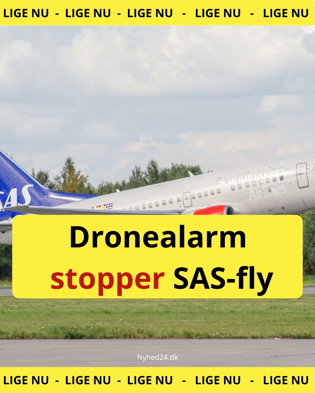 Dronealarm stopper SAS-fly