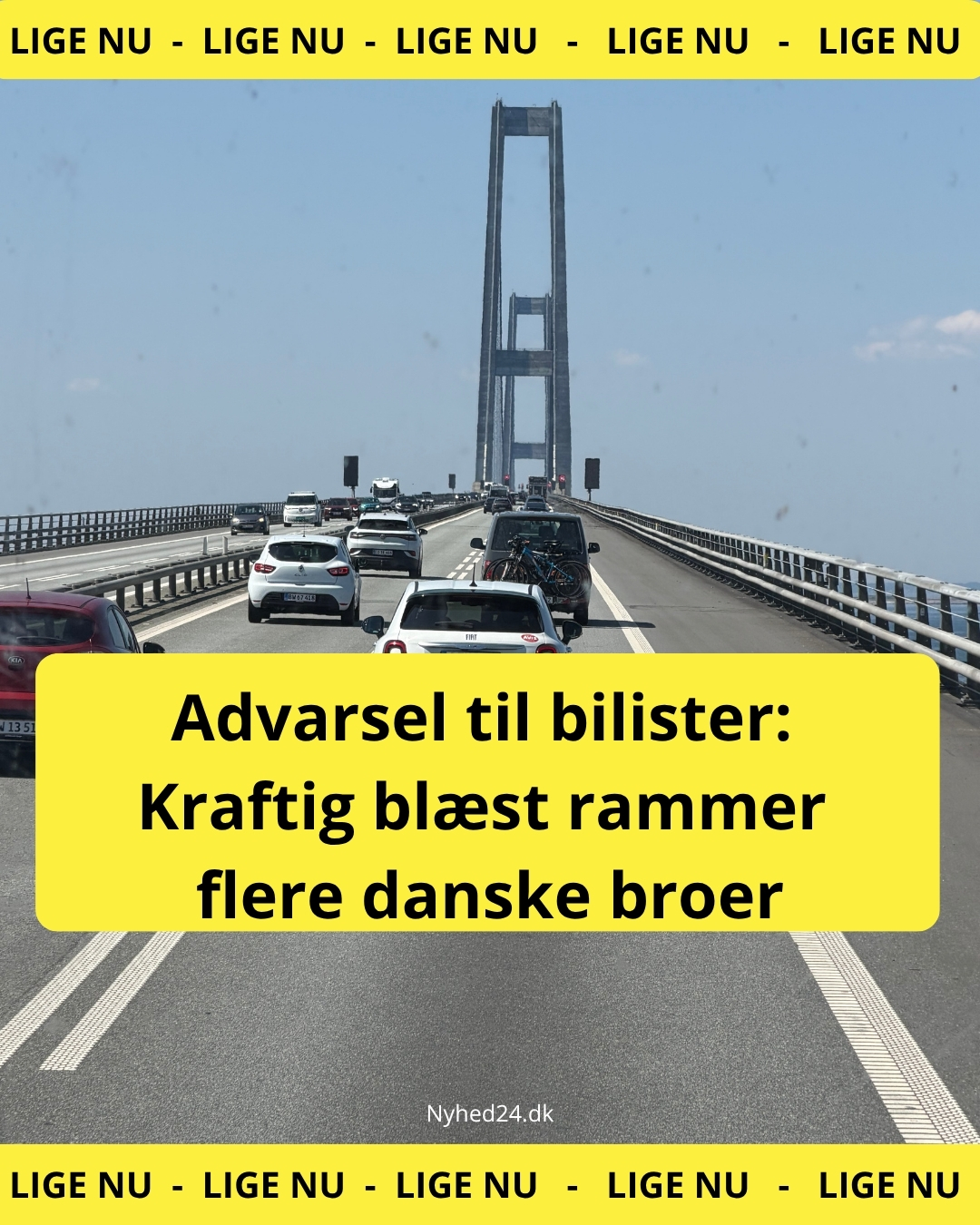 Advarsel til bilister: Kraftig blæst rammer flere danske broer