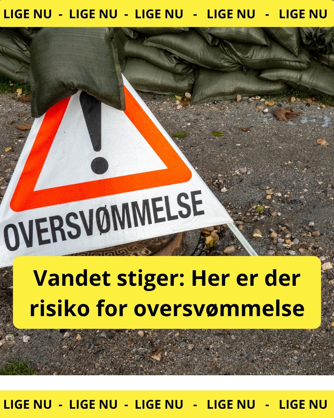 Vandet stiger: Her er der risiko for oversvømmelse
