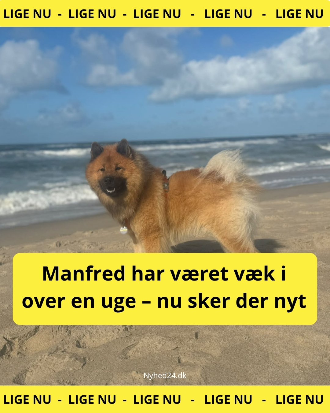 Manfred har været væk i over en uge – nu sker der nyt