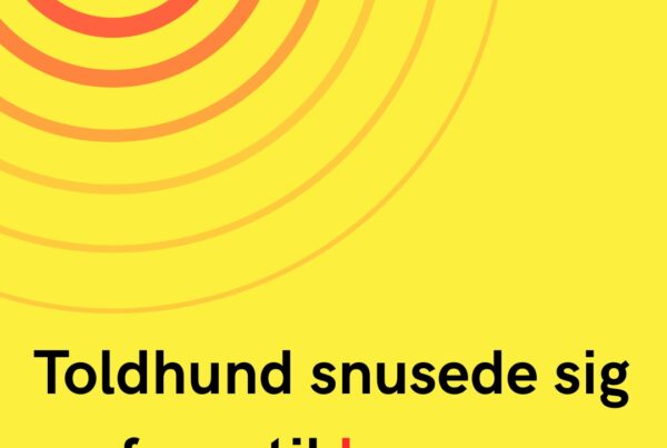 Toldhund snusede sig frem til kæmpe narkofund