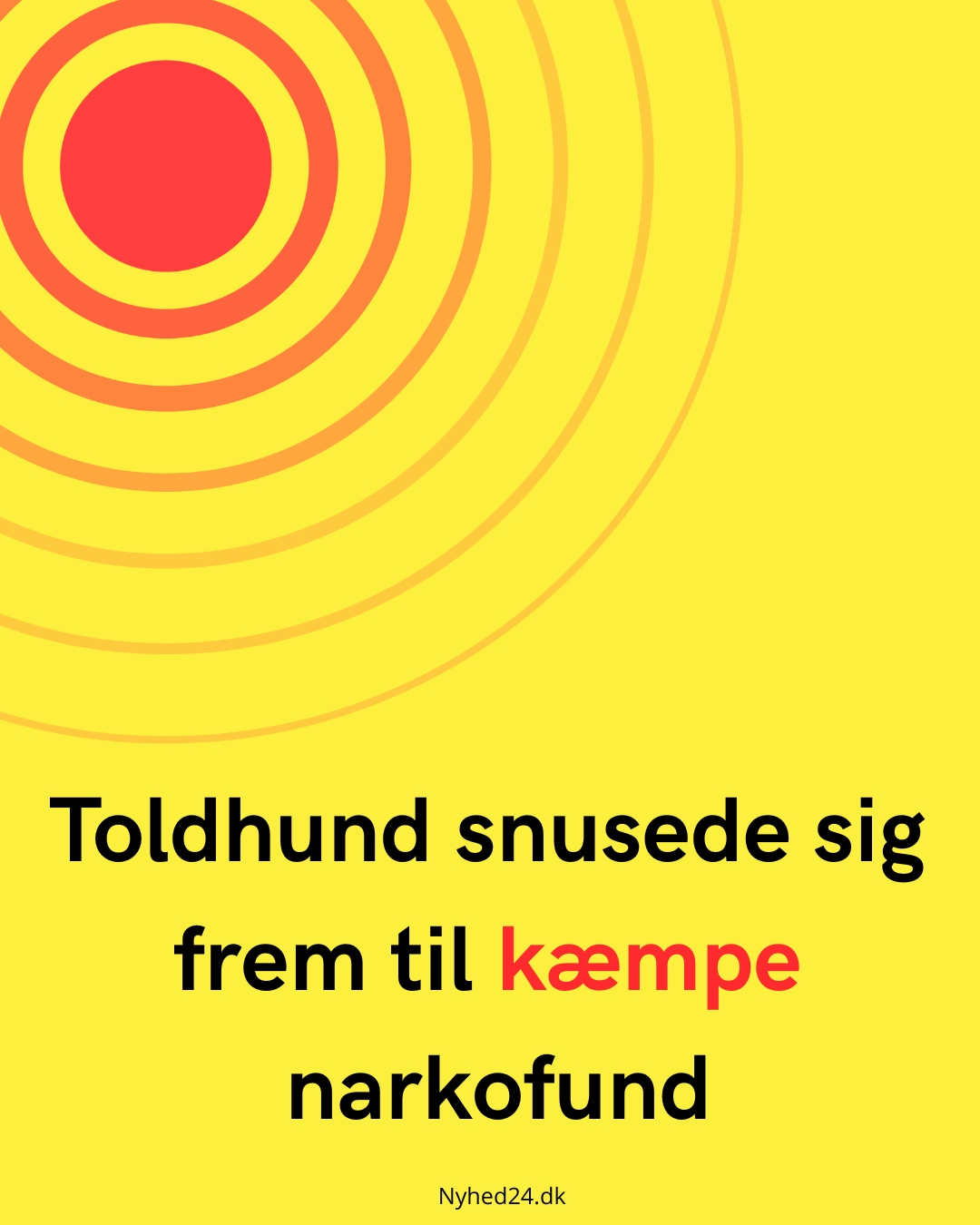 Toldhund snusede sig frem til kæmpe narkofund