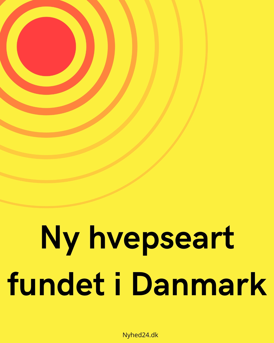Ny hvepseart fundet i Danmark