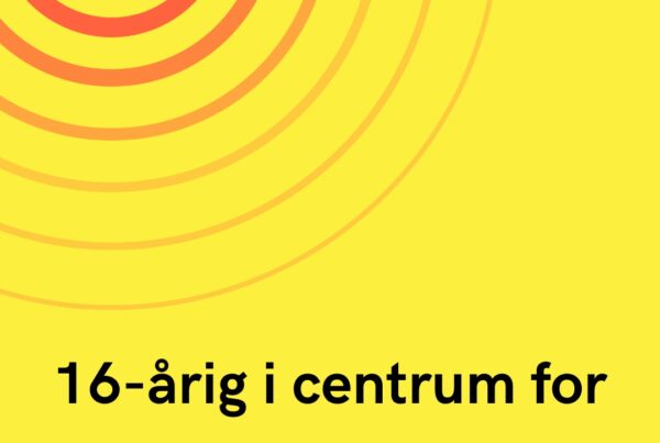 16-årig i centrum for enorm hackersag