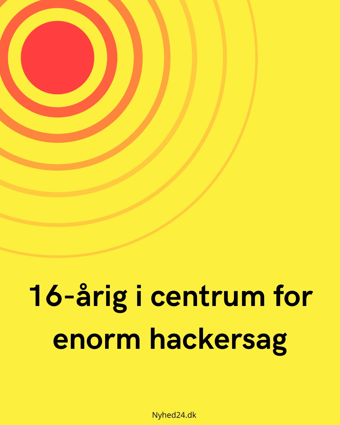 16-årig i centrum for enorm hackersag