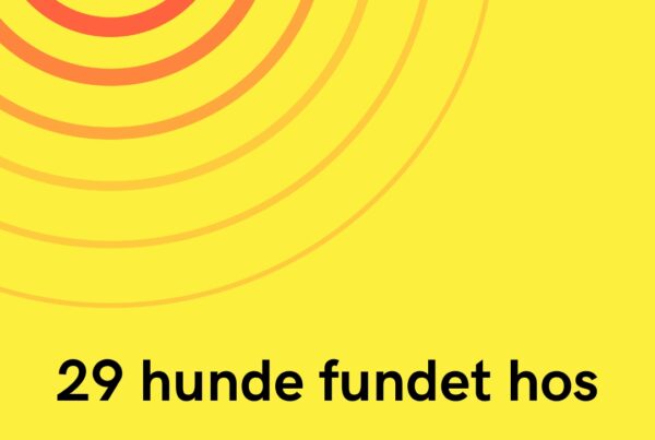 29 hunde fundet hos kvinde – nu falder kæmpebøden