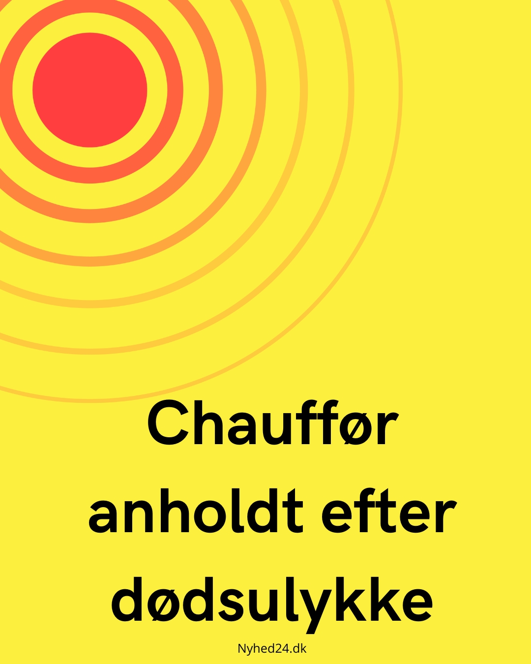 Chauffør anholdt efter dødsulykke