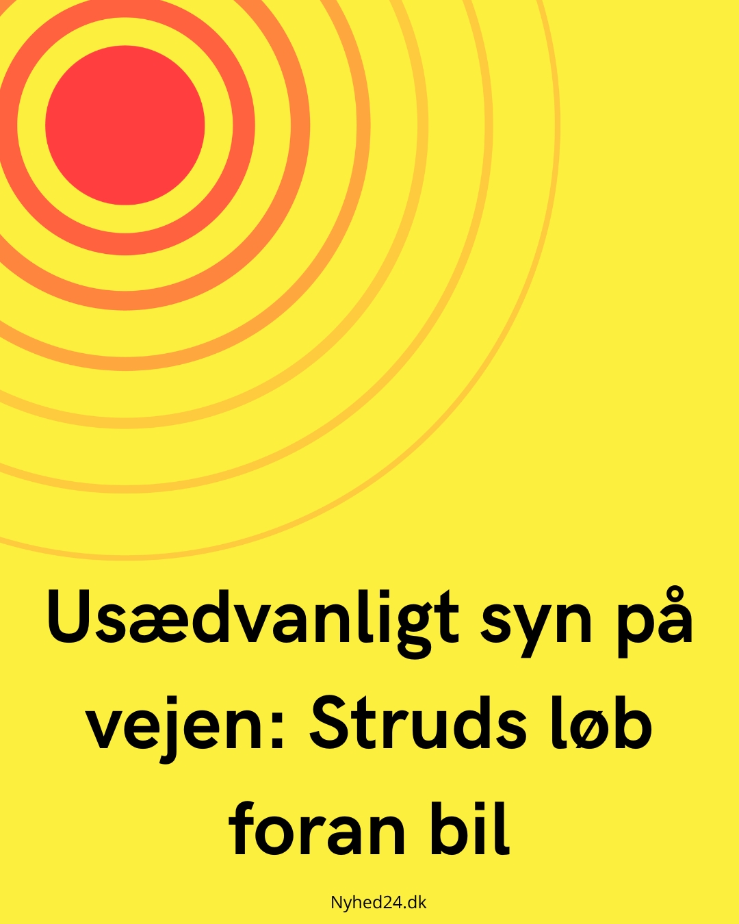 Usædvanligt syn på vejen: Struds løb foran bil