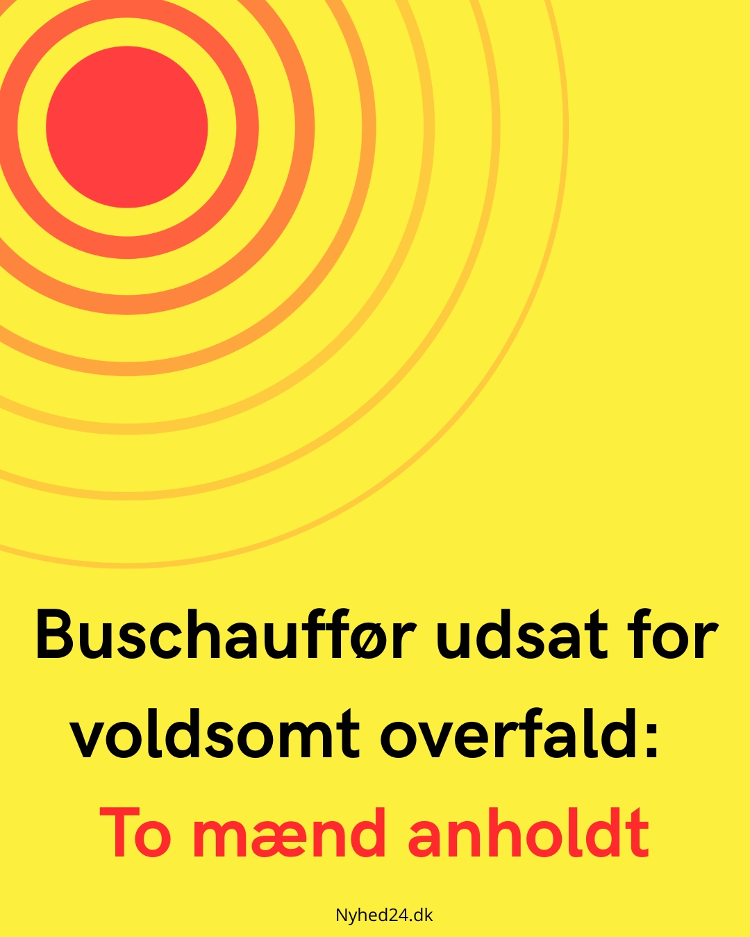 Buschauffør udsat for voldsomt overfald: To mænd anholdt