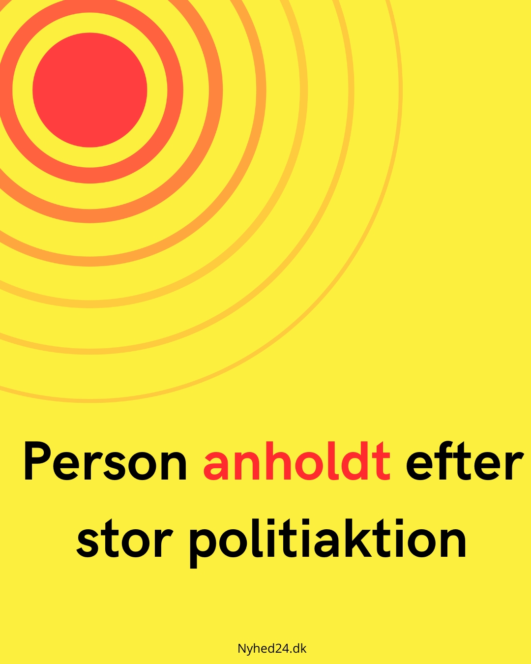 Person anholdt efter stor politiaktion