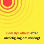 Fem dyr aflivet efter alvorlig sag om misrøgt