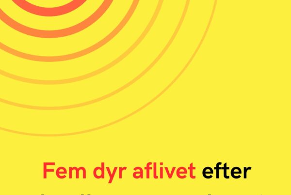 Fem dyr aflivet efter alvorlig sag om misrøgt