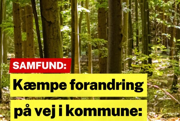 Kæmpe forandring på vej i kommune: Marker forvandles til kæmpe skovområde