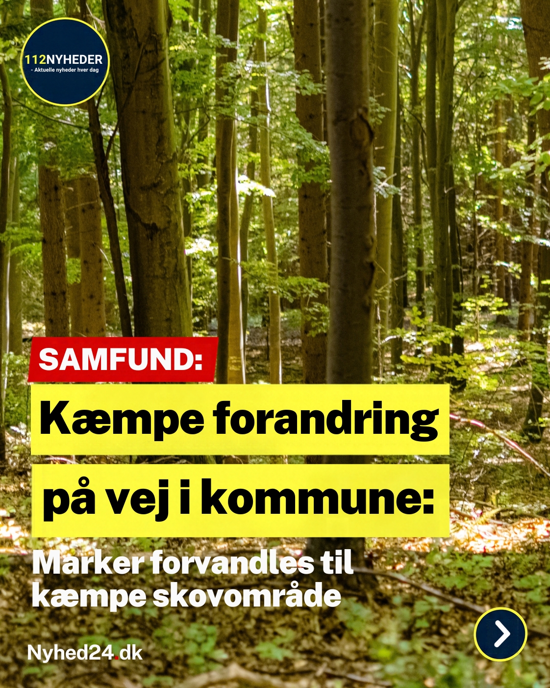 Kæmpe forandring på vej i kommune: Marker forvandles til kæmpe skovområde