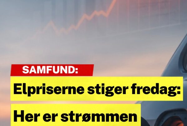 Elpriserne stiger fredag: Her er strømmen billigst